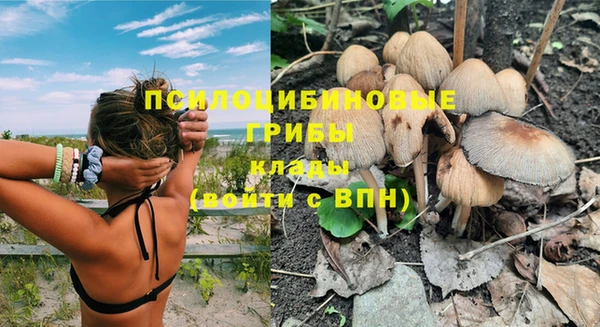 прущие крисы Баксан