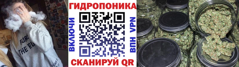 Каннабис Amnesia  Верхняя Тура 